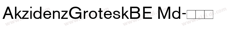AkzidenzGroteskBE Md字体转换